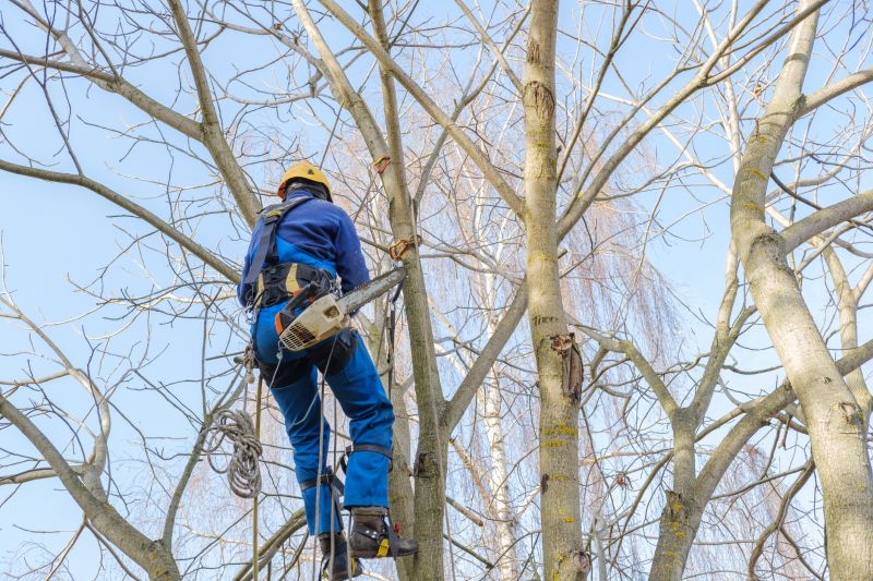 Storm Preparation Trimming