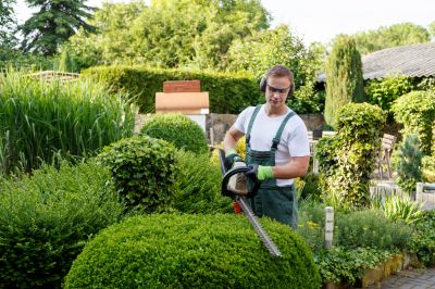 Landscaping and Tree Maintenance